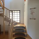 Βίλα Zen House U Podebrad - Kanin