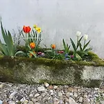 Relaxace V Blízkosti Poděbrad - Kanín * Poděbrady